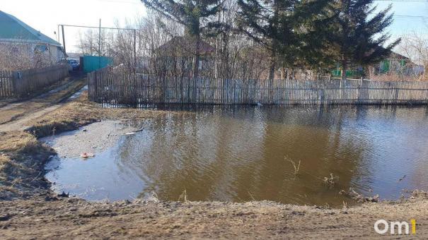 Паводок в Славгородском районе оставил село без пешеходной переправы и пожарного водоема