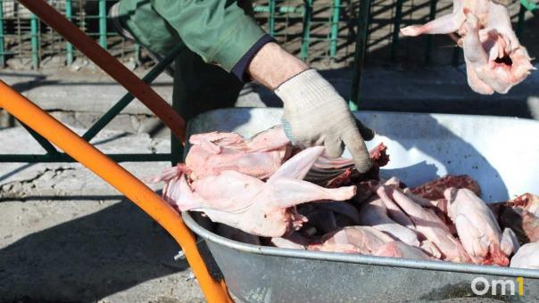 Ферментировать картофель и мясо дома опасно: нутрициолог предупредила о ботулизме