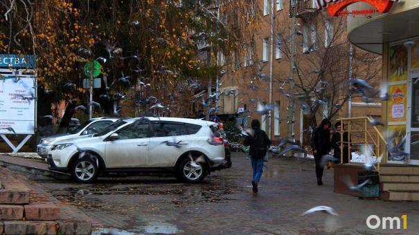 Весна отменяется: на Омскую область обрушатся снегопады и морозы