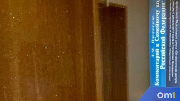 Пьяный водитель в Новосибирске получил полгода колонии-поселения за повторную пьяную езду
