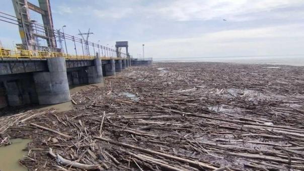 Брёвна поплыли по Оби: новосибирцев предупредили об опасности на воде в ночь на 2 мая