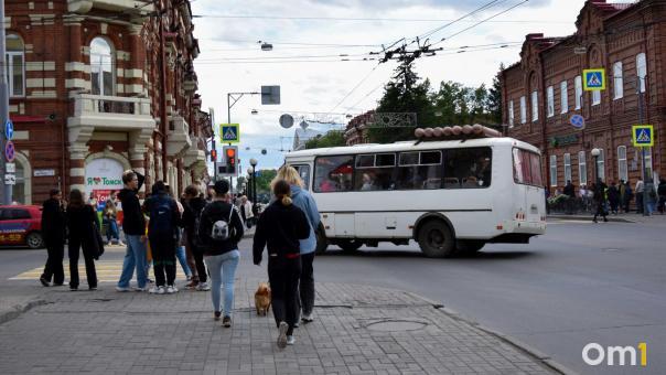 Чуша из муксуна, рубленая конина и «Губернский лонг»: где в Томске отведать сеты за 1500 рублей
