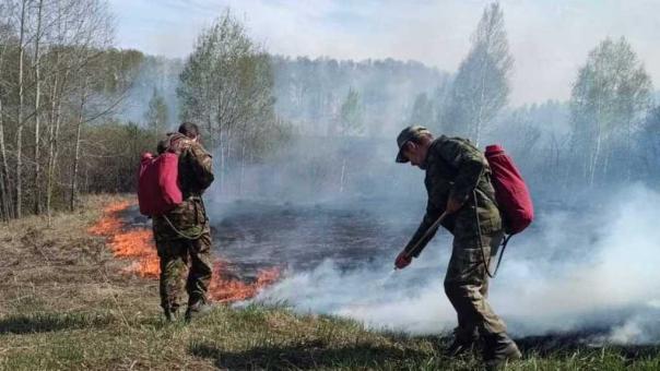Не дают огню уничтожить леса — дроны «Геоскан» и камеры «Лесохранитель» защищают Новосибирскую область