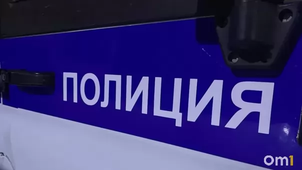 В Омске полиция ищет женщину, выкопавшую гортензию в городском сквере