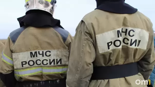 296 возгораний за месяц в Омской области, почти половина — трава и мусор