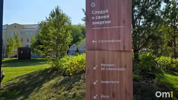 Омичка, укравшая гортензию из «Сердца Омска», сама пришла в полицию и рассказала, почему