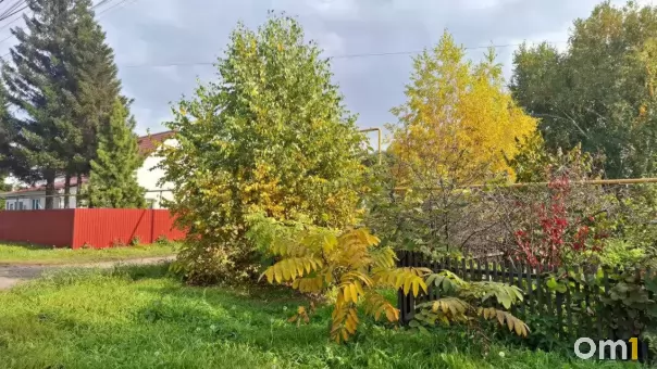 Омичи могут спиться из-за осени
