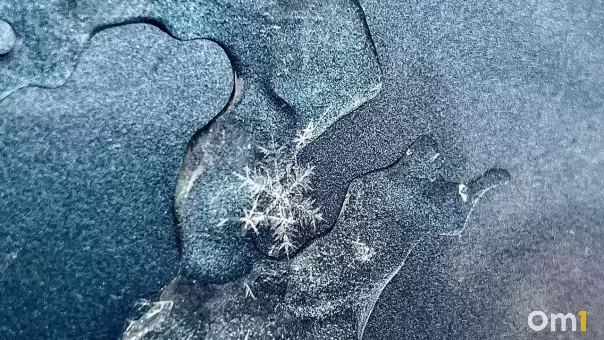 В Омской области энергетики и спасатели отработали действия при ледяном шторме