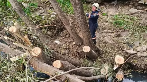 В Новосибирске из-за древесного затора частично обрушился берег Первой Ельцовки