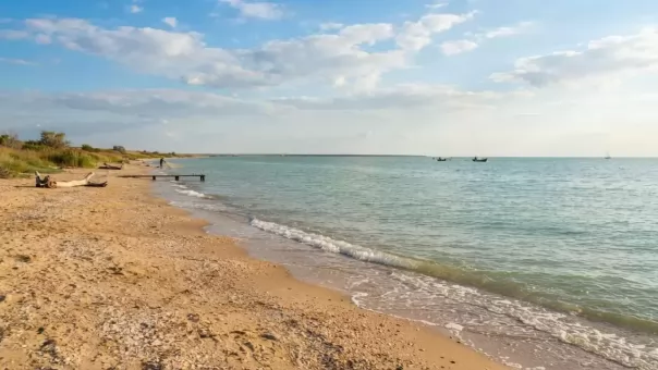 Солёность Азовского моря достигла максимума за 150 лет: академик РАН предупредил об угрозе
