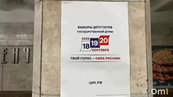 Подконтрольное голосование и испорченные бюллетени: депутат Яковлев рассказал о жалобах из НСО