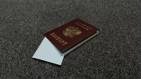 В паспорт можно вписать даже группу крови: какие ещё отметки разрешили россиянам в МВД