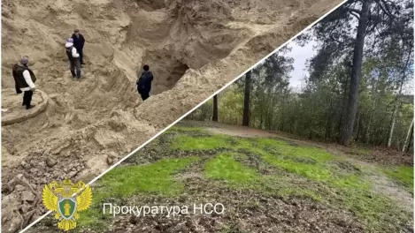 Компанию оштрафовали на 265 тысяч за ущерб «Дендрологическому парку» в Новосибирске