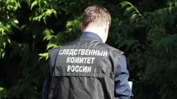 Жёсткий руководитель из Ульяновска может возглавить новосибирский СКР