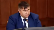 В Новосибирской области по инициативе Заксобрания предложили создать рабочую группу по бездомным собакам