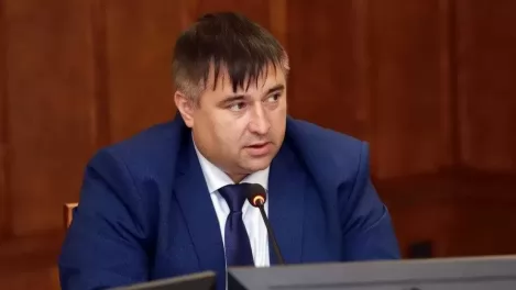В Новосибирской области по инициативе Заксобрания предложили создать рабочую группу по бездомным собакам