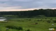 В Новосибирской области установили охранные зоны для четырёх памятников природы