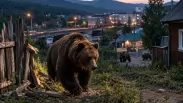 Медведи вышли к Куйбышеву: жителей Новосибирской области предупредили об опасности