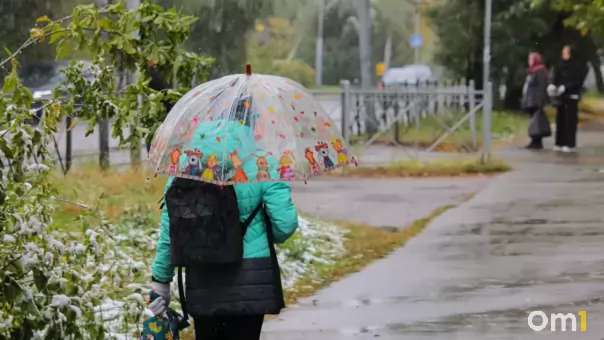 После −6 градусов станет теплее: что ждёт Новосибирск днём 24 октября