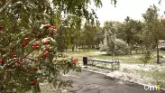 Синоптики назвали дату похолодания в Омске