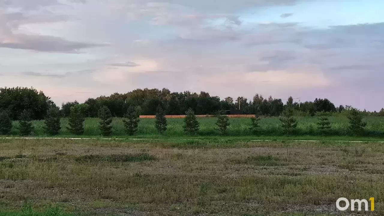 В Омской области обанкротилось крупное агропредприятие