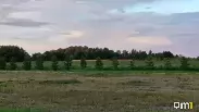В Омской области обанкротилось крупное агропредприятие