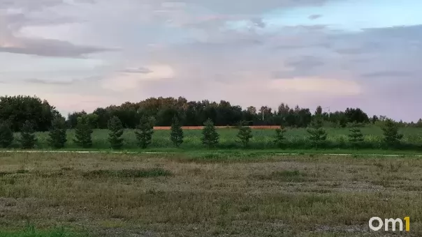В Омской области обанкротилось крупное агропредприятие