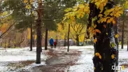 Антициклон несёт в Омскую область опасную погоду: в Гидрометцентре выпустили предупреждение