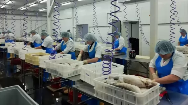 Новосибирская компания нарастит производство рыбы для выхода на рынок Китая