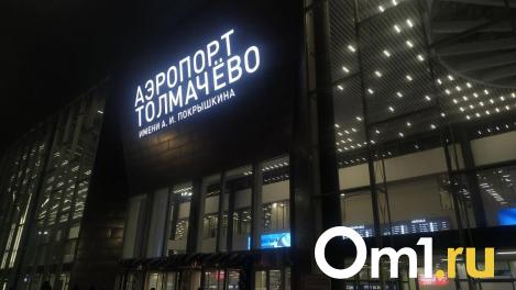 Падение у аэропорта Толмачёво лишило омичку отпуска и принесло ей 200 тысяч