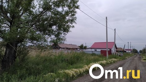Отказ от сбора биометрии и изменения оплаты НДФЛ при продаже участка: какие законы вступят в силу с июня