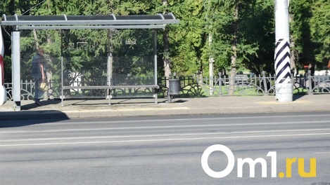 В Омске на Левобережье построят новую дорогу