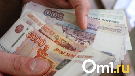Лучшие учителя информатики Новосибирской области получат выплату 115 000 рублей