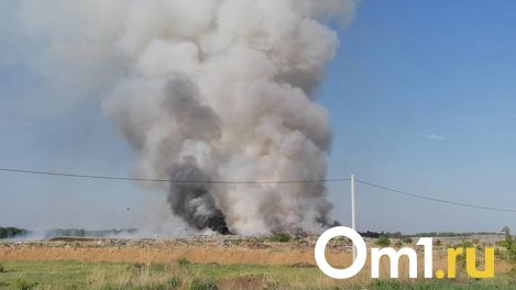 В Калачинском районе в жару загорелась городская свалка
