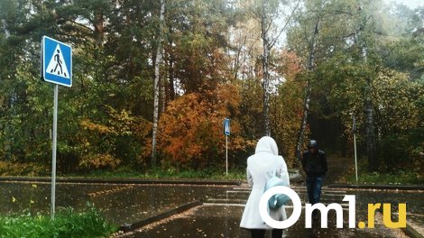 Похолодание до +8 прогнозируют на этой неделе в Новосибирске
