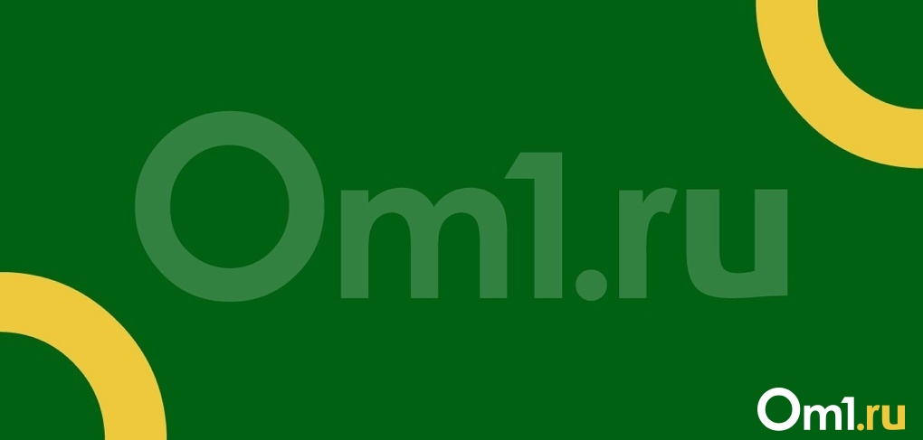 Меры поддержки мобилизованных: на что могут рассчитывать участники СВО. Инструкция для новосибирцев