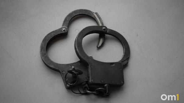 В Омске женщина жестоко избивала детей при малейшей провинности
