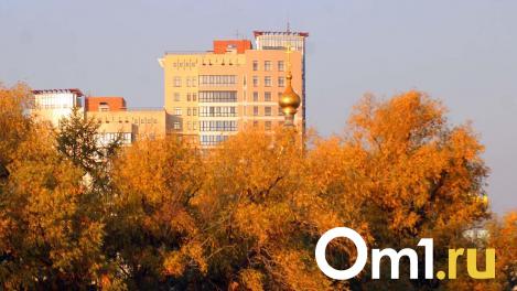 От +5 и обратно в лето: синоптики назвали дату, когда в Омск вернётся тепло