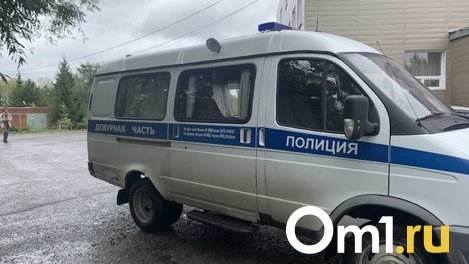 Омичка вынесла из дома знакомого бензопилу после совместного застолья