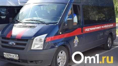 В Новосибирске следователи организовали проверку после опубликованного видео избиения девочки в лифте