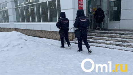 Нашли на улице посреди ночи: в Омске завершены поиски ребёнка