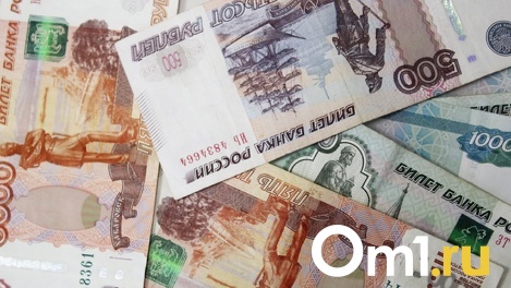 Число самозанятых в Омске выросло на 35% по сравнению с прошлым годом