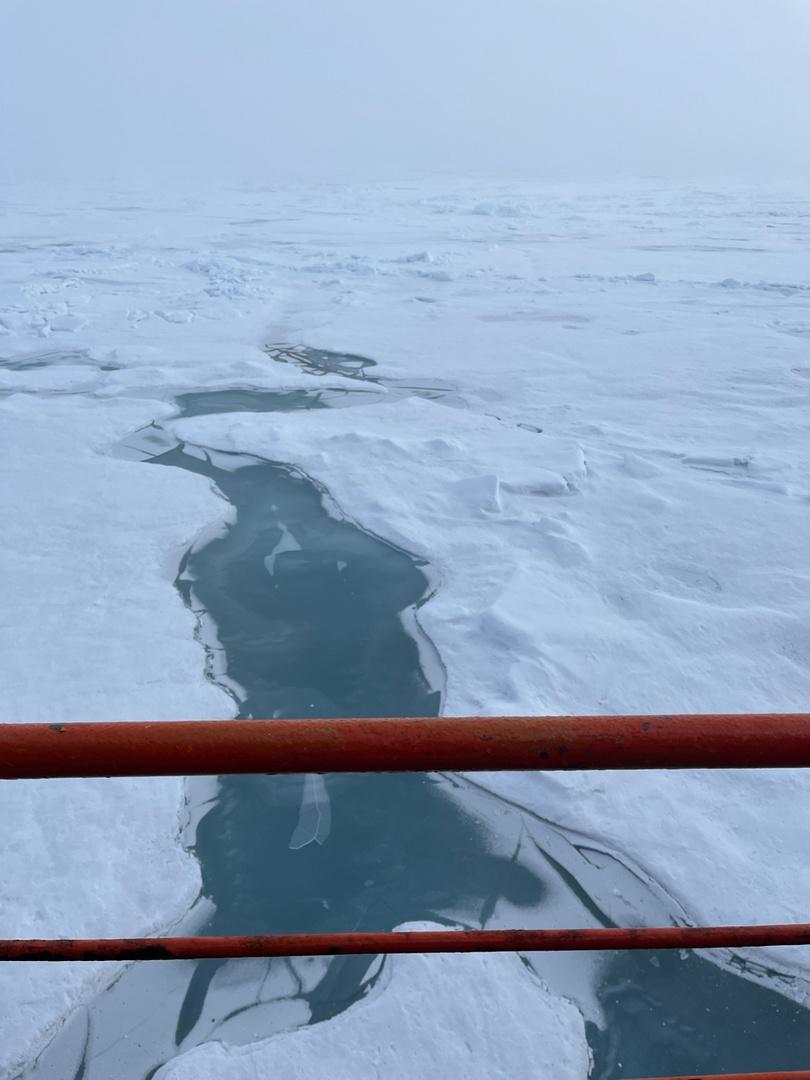 Купались в проруби и ели мороженое: омские ученики побывали на Северном полюсе