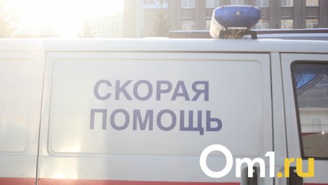 В Новосибирске кусок металла с крыши рассёк голову 9-летнему мальчику
