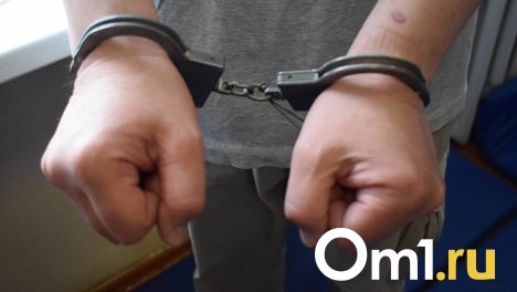 Обвиняемого в убийстве 17-летней сестры под Новосибирском подростка оставили в СИЗО до октября