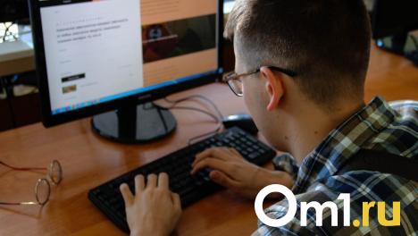 Доходы IT-компаний выросли на 10 %: цифровой сектор Новосибирска — на подъёме