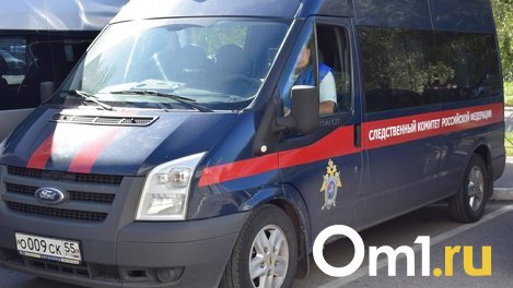 Семилетний мальчик упал с восьмого этажа в Новосибирске