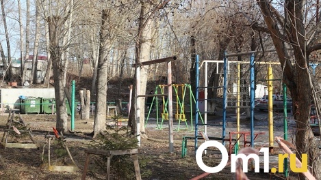 Женские крики и выстрелы: в Омске неизвестный открыл стрельбу на детской площадке