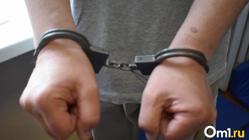 Фальсификация подтвердилась? Вскрылись подробности дела новосибирской правозащитницы Анны Тажеевой