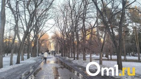 Мощный погодный сюрприз в Омске: морозы, снег и гололедица в начале марта